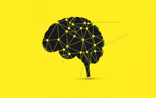 Anak Terlahir Dengan Kombinasi Delapan Inteligensi