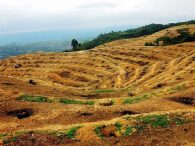 Lahan Potensial dan Lahan Kritis