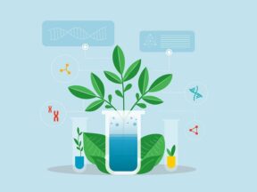 Pengertian Kimia Hijau (Green chemistry)