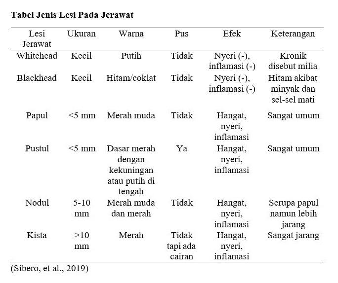 Tabel Jenis Lesi Pada Jerawat