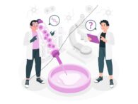 Pengertian Enzim: Struktur, Fungsi, dan Mekanisme Kerja