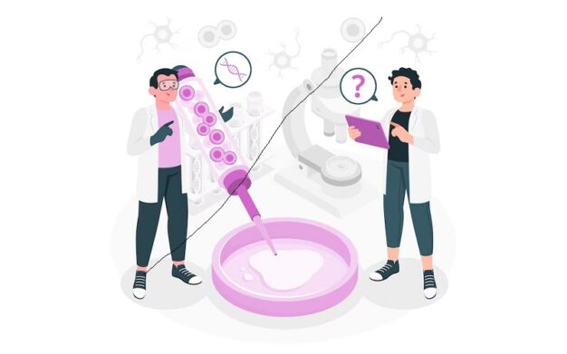 Pengertian Enzim: Struktur, Fungsi, dan Mekanisme Kerja